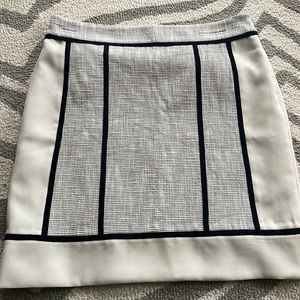 Ann Taylor Skirt
